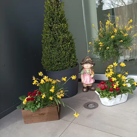 Hotell Sterdebuell *